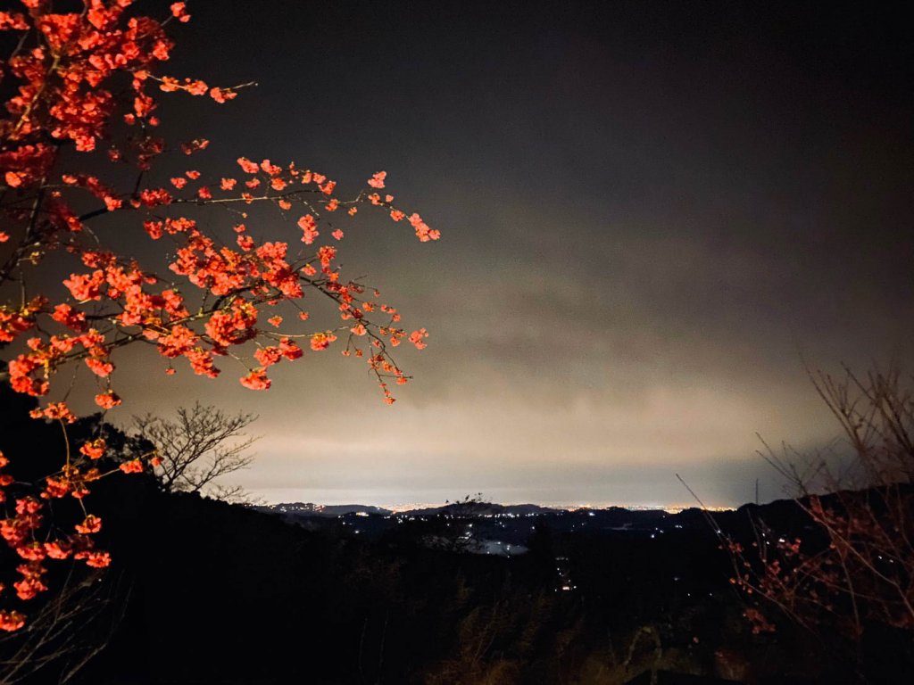 苗栗大湖馬那邦山 - 瑪菈棒露營區