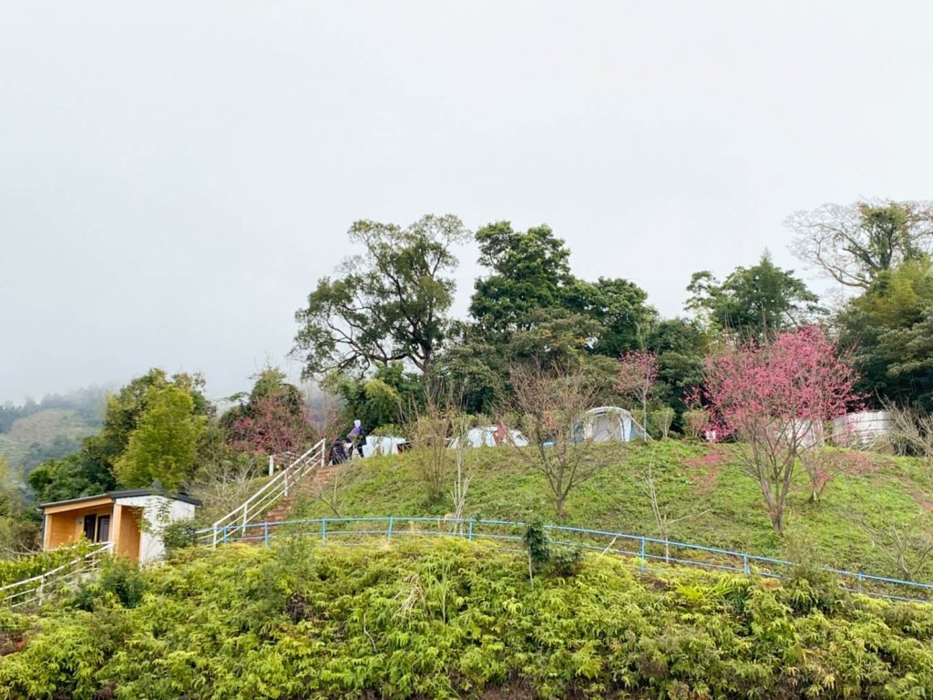 苗栗大湖馬那邦山 - 瑪菈棒露營區