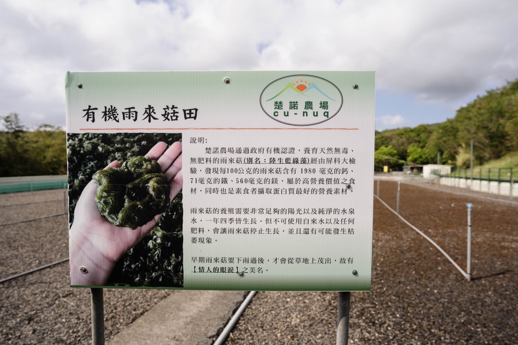 露營日記-楚諾生態休閒露營農場