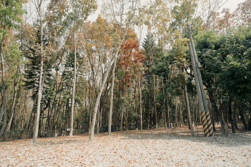 露營日記-將軍山歐舍營地