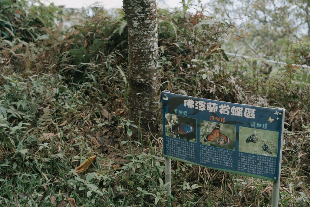 露營日記-馬那邦之星