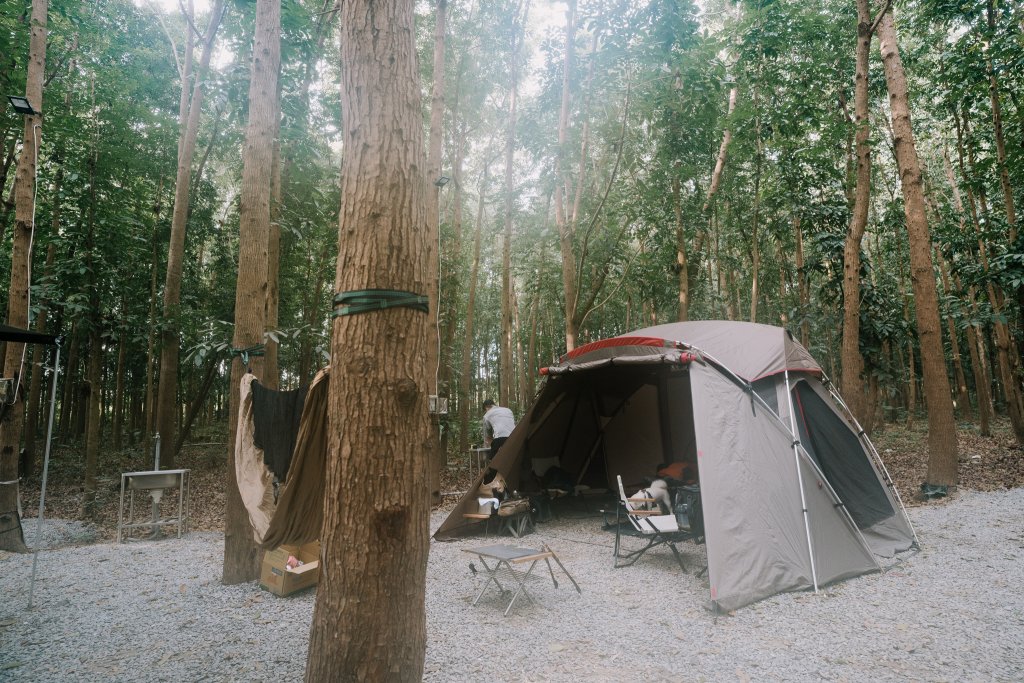 露營日記-沿山森林秘境
