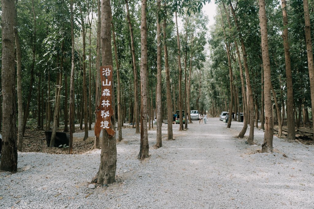 露營日記-沿山森林秘境