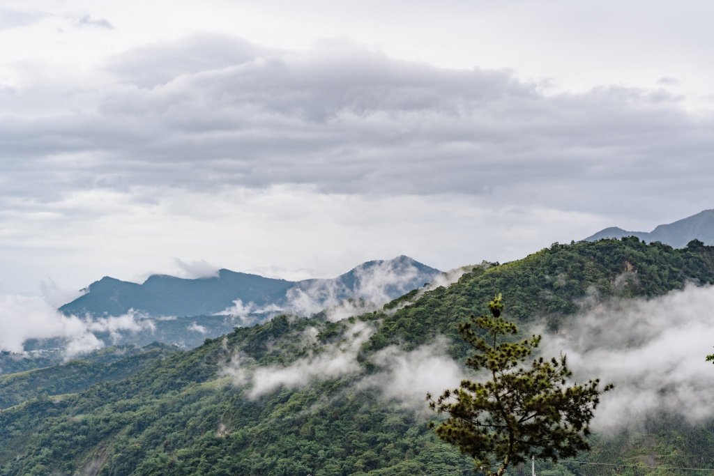 露營日記-瑞櫻山莊露營區