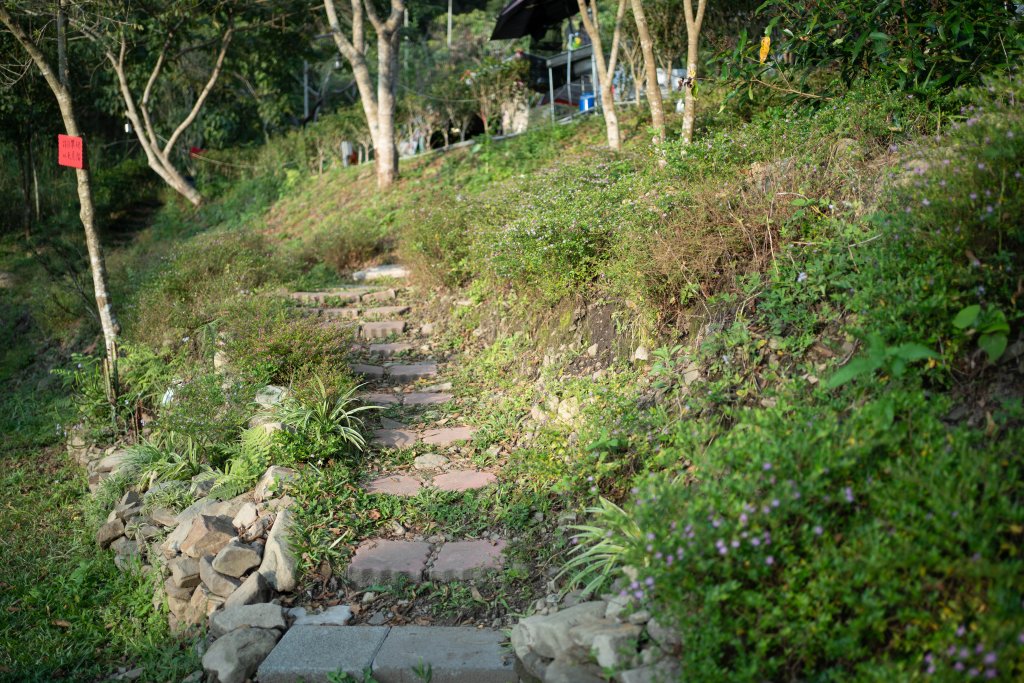 露營日記－那瑪夏達里沐露營區