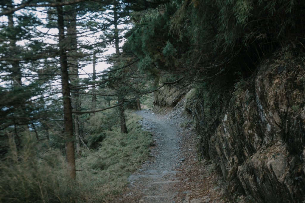 露營日記-單攻玉山主峰