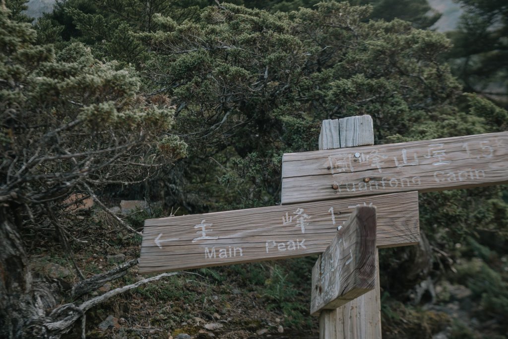 露營日記-單攻玉山主峰