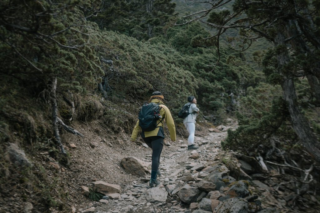 露營日記-單攻玉山主峰