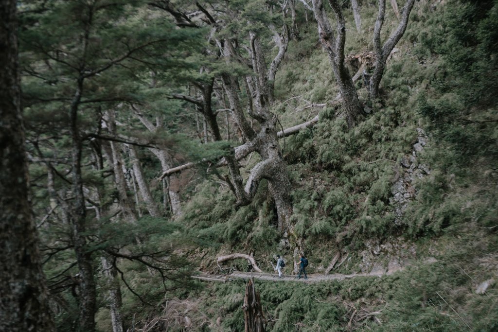 露營日記-單攻玉山主峰