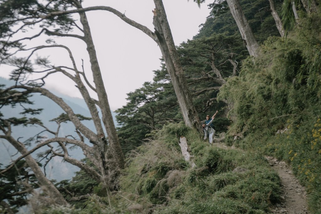 露營日記-單攻玉山主峰