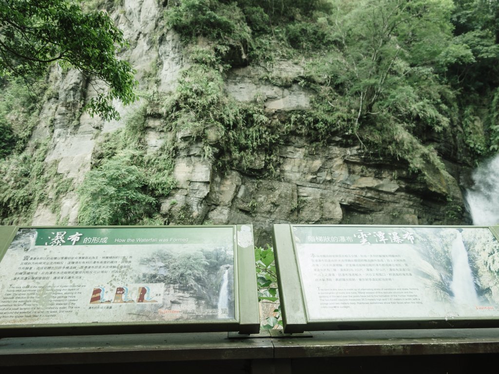 露營日記-悅日松林露營區