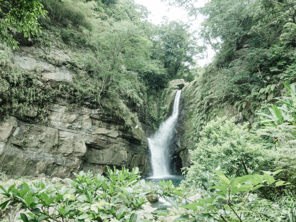 露營日記-悅日松林露營區