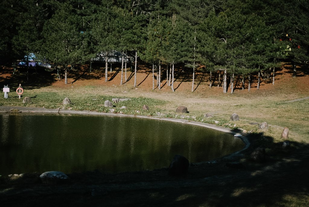 露營日記-福壽山農場露營區