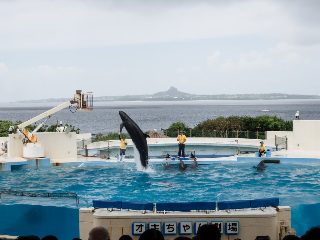 露營日記-2023沖繩OKINAWA