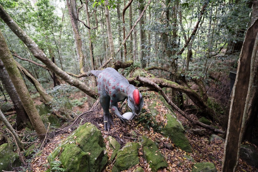 露營日記-藍山國家公園