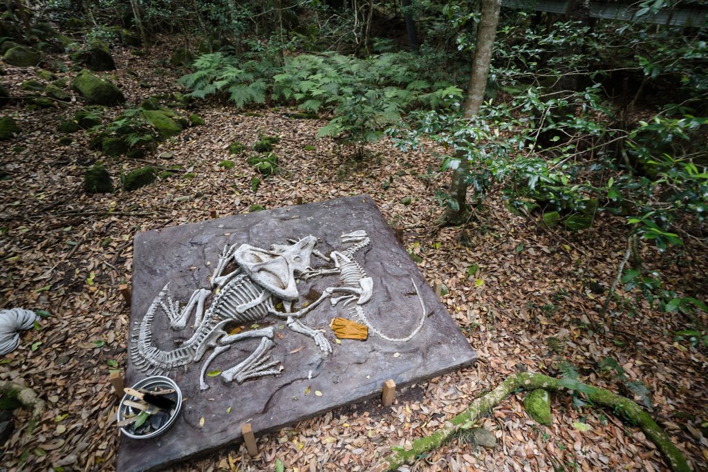 露營日記-藍山國家公園