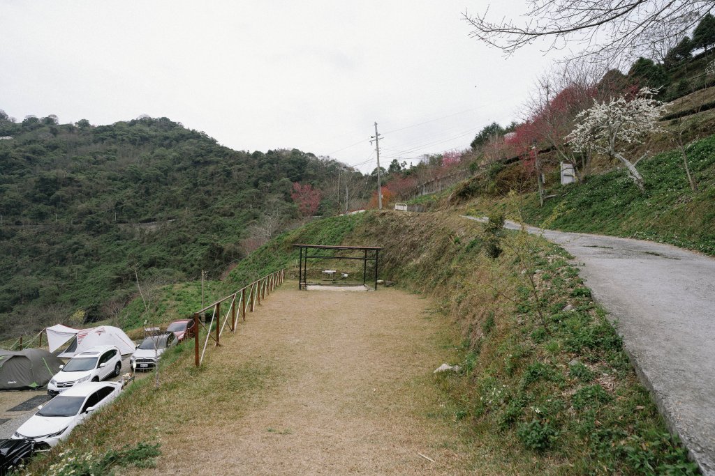 露營日記-山林好蒔光