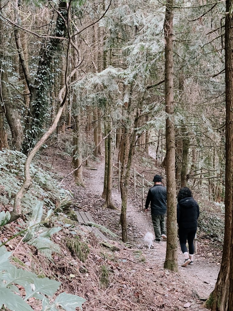 露營日記-福壽山農場露營區