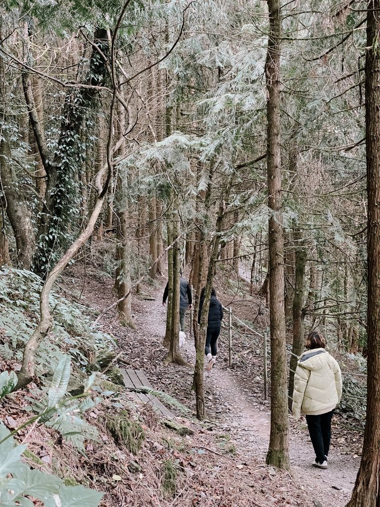 露營日記-福壽山農場露營區