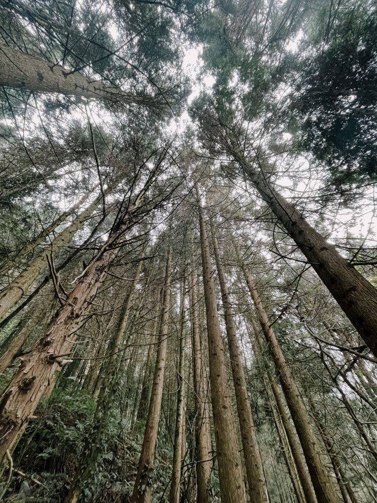 露營日記-福壽山農場露營區