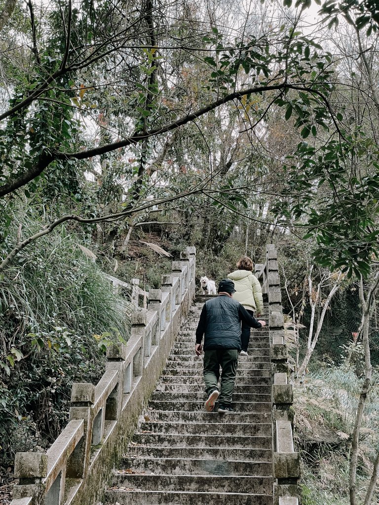 露營日記-福壽山農場露營區