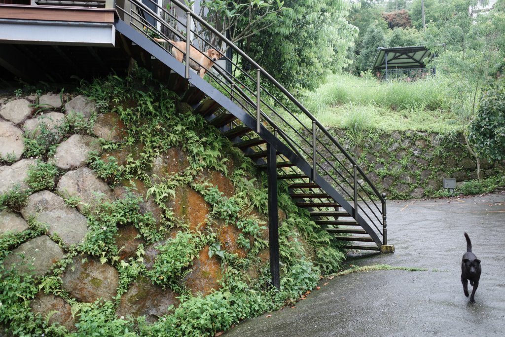 露營日記-瑞櫻山莊露營區