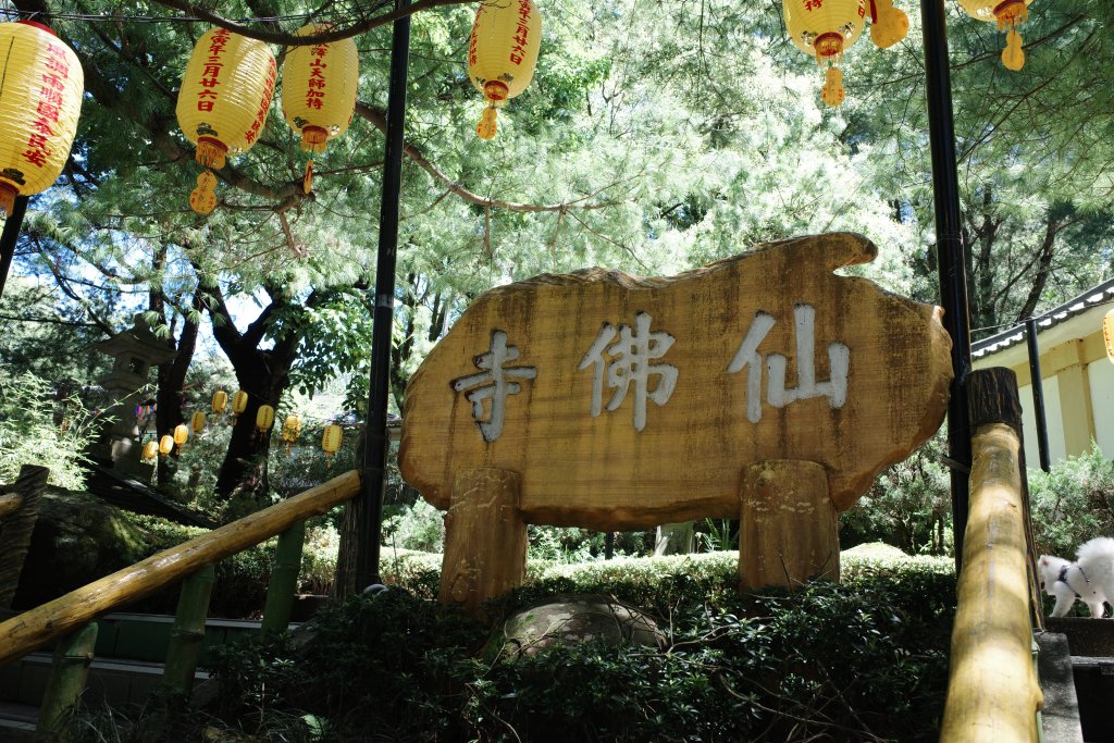 露營日記-雲享清峰